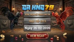 GAKING79 Xem Full Clip Da Ga Truc Tiep CPC5 Ngay 26022026 1