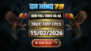 Xem Full Clip Da Ga Truc Tiep CPC5 Ngay 15022026 3