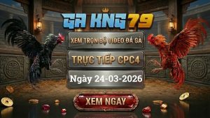 Xem Full Clip Đá Gà Trực Tiếp CPC4 Ngày 24/03/2026