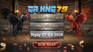 GAKING79 Xem Full Clip Da Ga Truc Tiep CPC5 Ngay 07032026 1