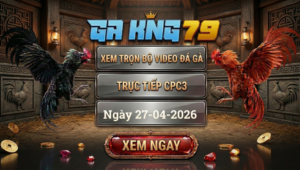 Xem Full Clip Đá Gà Trực Tiếp CPC3 Ngày 27/04/2026