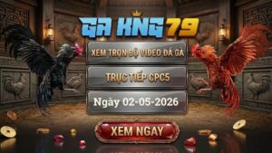 Xem Full Clip Đá Gà Bồ CPC5 Ngày 02/05/2026