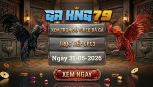 Xem Full Video Đá Gà CPC3 31/05/2026