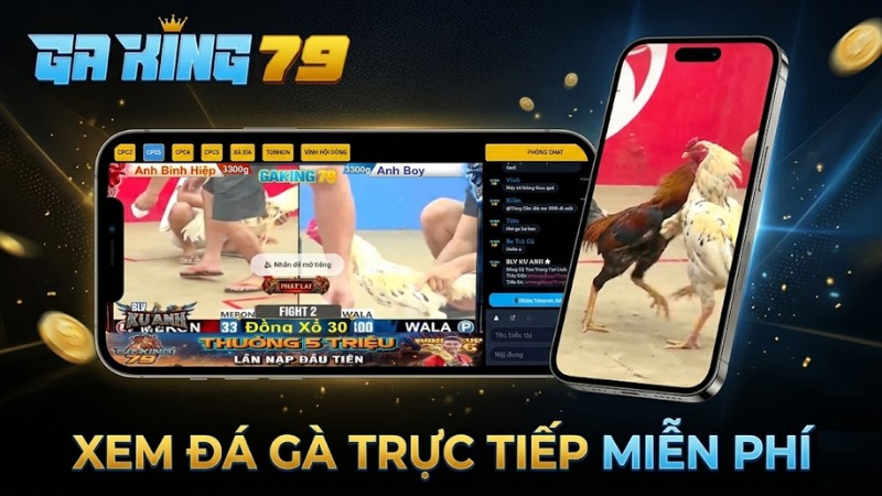 GAKING79 - Trực Tiếp Đá Gà Thomo Full Bồ