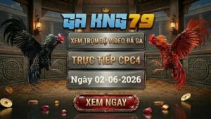 Xem Full Video Đá Gà CPC4 02/06/2026