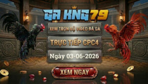 Xem Full Video Đá Gà CPC4 03/06/2026 tại GAKING79